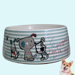 All Kinds of Pet Feeders